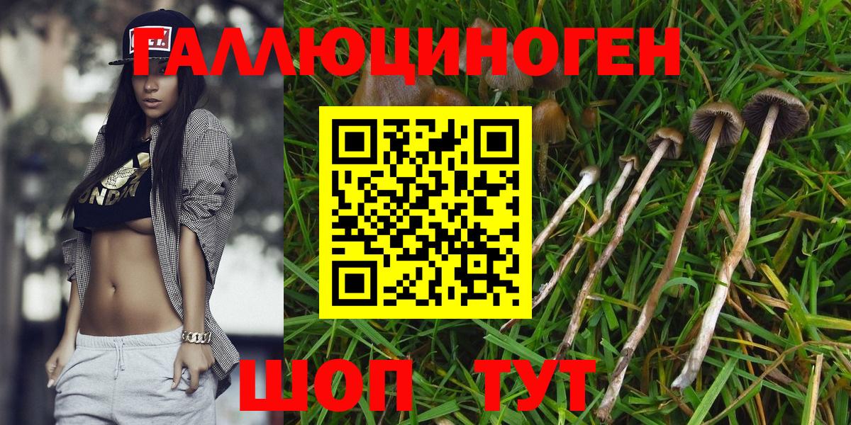 Галлюциногенные грибы мицелий Усть-Джегута