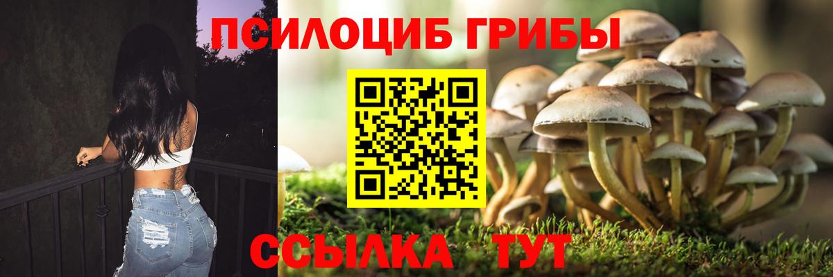 Усть-Джегута  Галлюциногенные грибы MAGIC MUSHROOMS  Вход с VPN 
